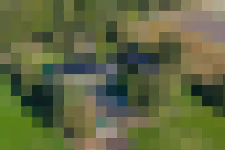 Witteveen 5 Ruinen thumbnail 76