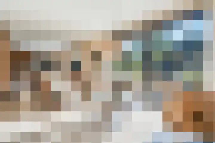 Witteveen 5 Ruinen thumbnail 9