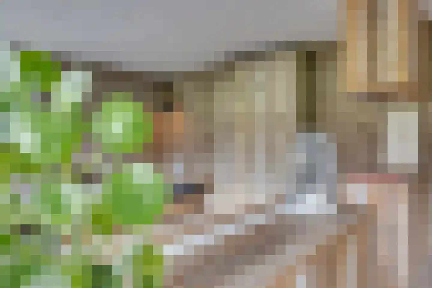 Wittevrouwensingel 202 Utrecht thumbnail 10