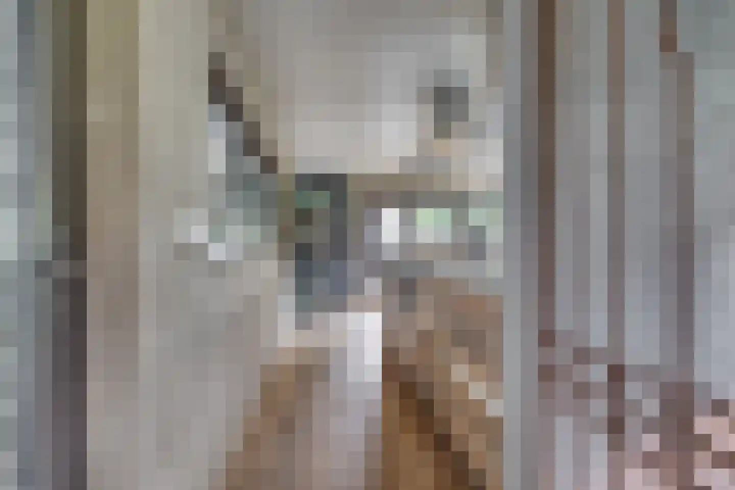 Wittevrouwensingel 202 Utrecht thumbnail 13