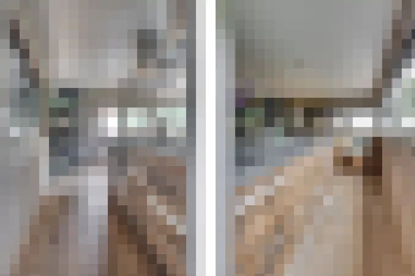 Wittevrouwensingel 202 Utrecht thumbnail 14