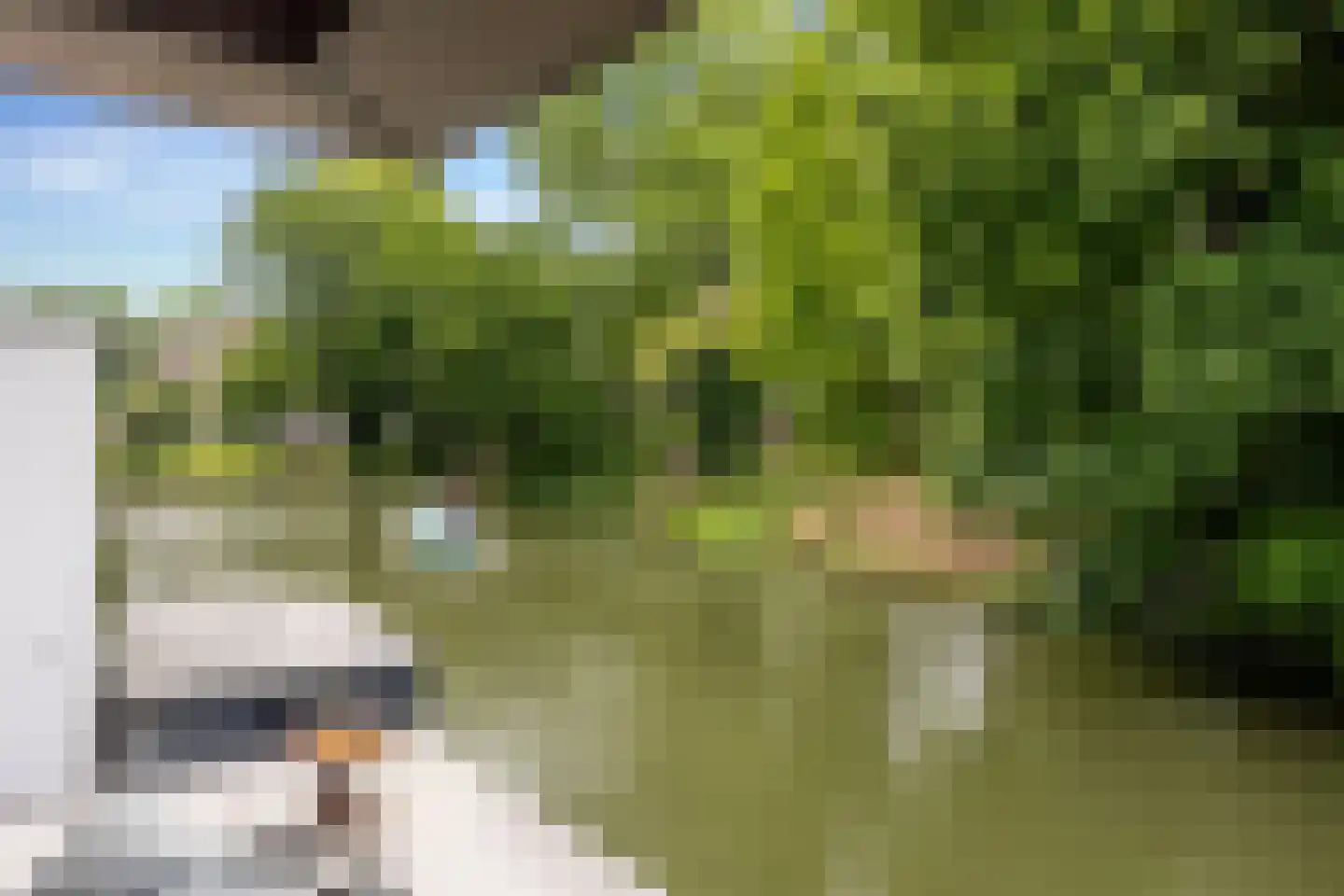 Wittevrouwensingel 202 Utrecht thumbnail 17