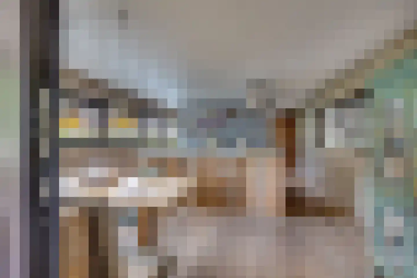 Wittevrouwensingel 202 Utrecht thumbnail 20