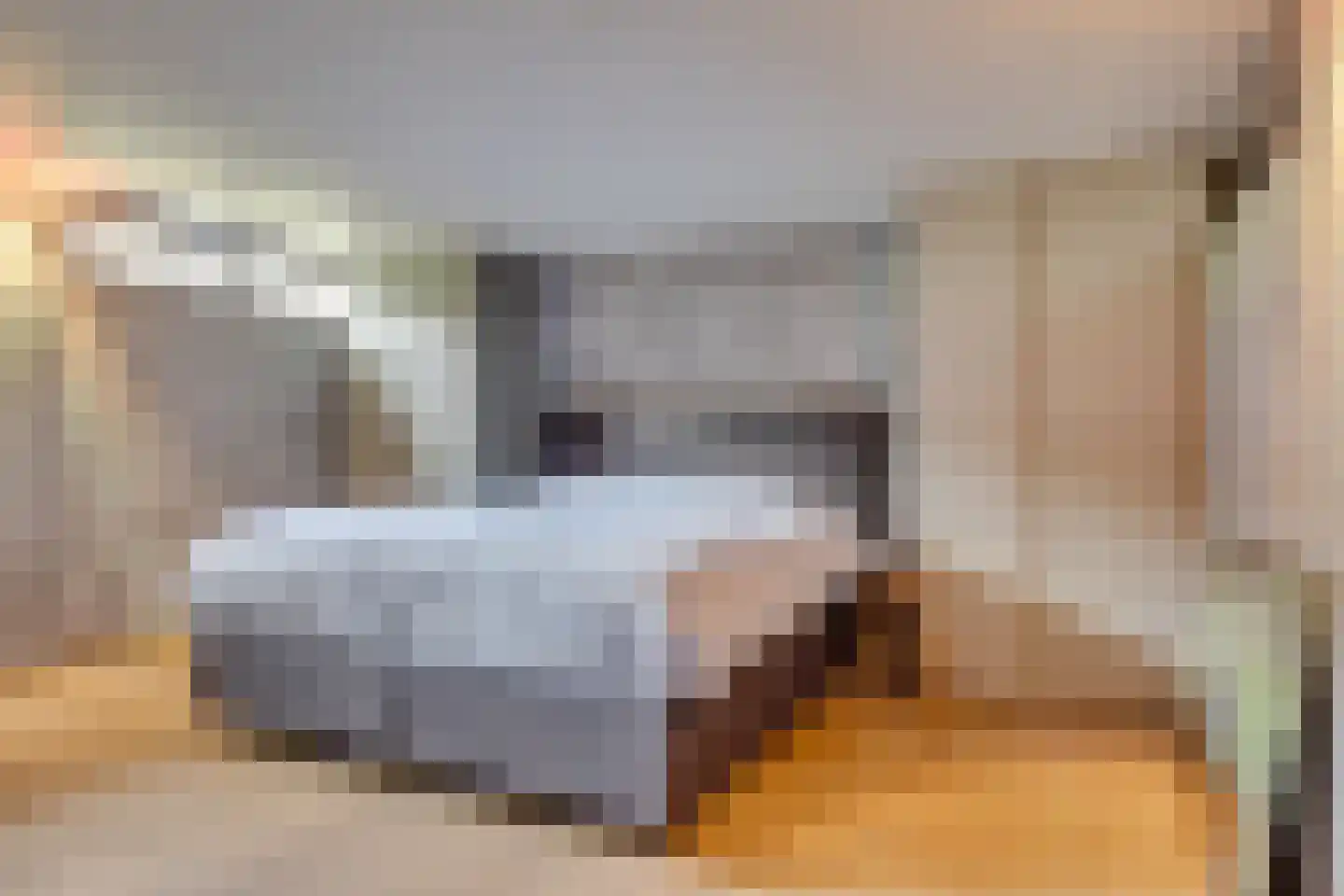 Wittevrouwensingel 202 Utrecht thumbnail 25