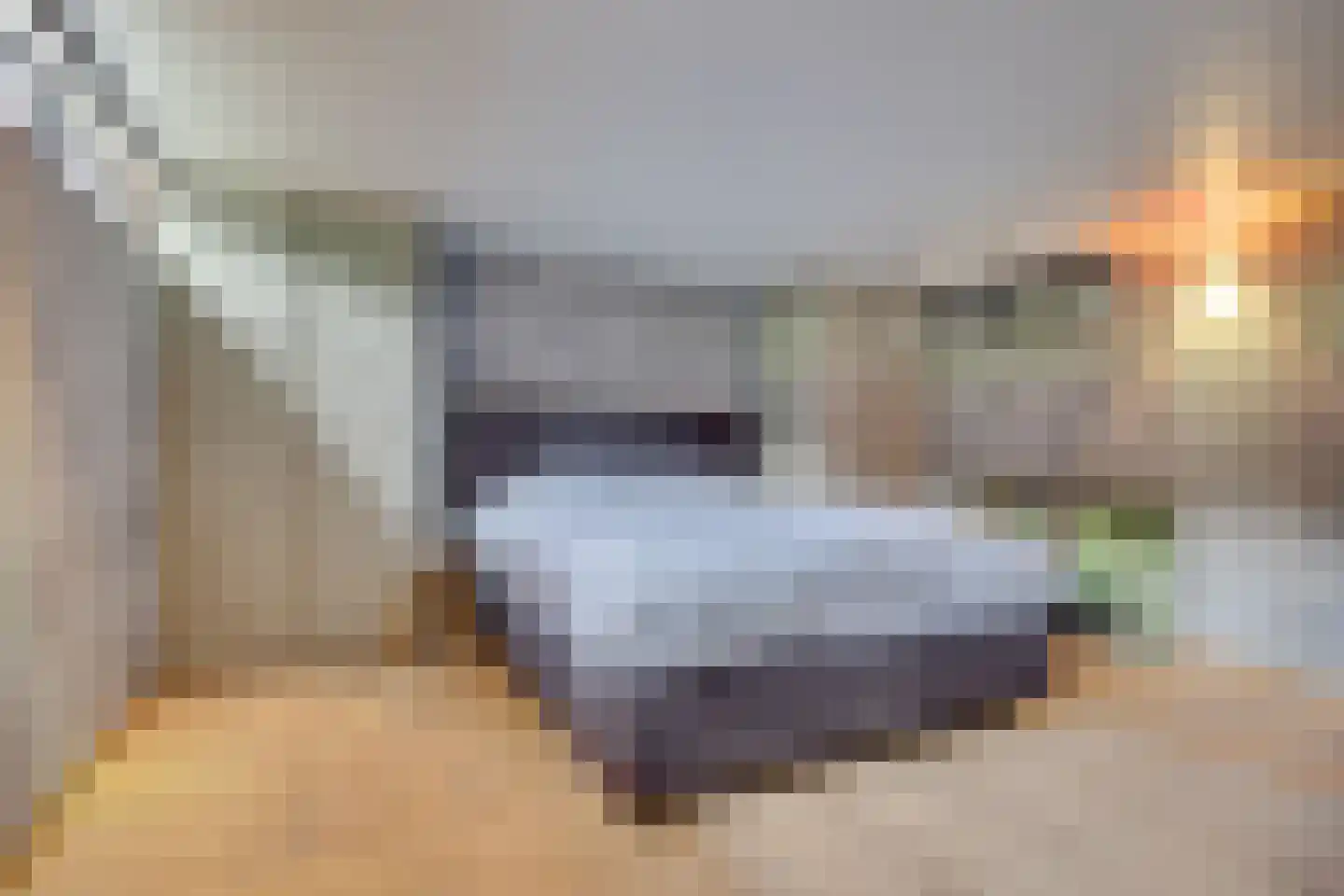 Wittevrouwensingel 202 Utrecht thumbnail 26