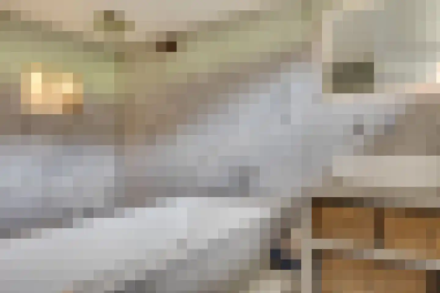 Wittevrouwensingel 202 Utrecht thumbnail 29