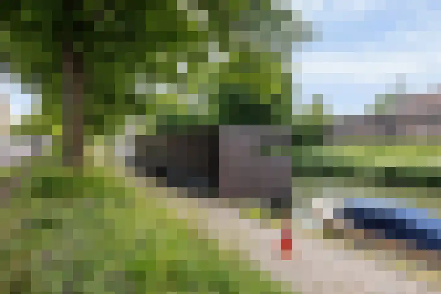 Wittevrouwensingel 202 Utrecht thumbnail 5