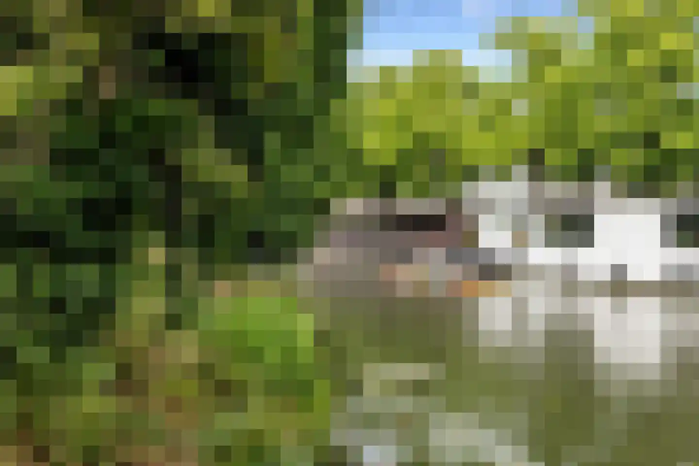 Wittevrouwensingel 202 Utrecht thumbnail 6