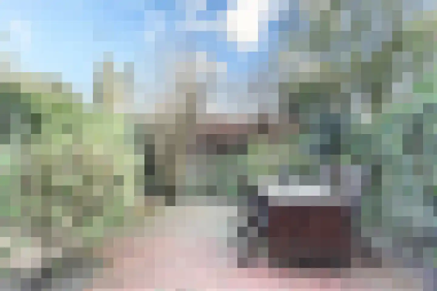 Wittevrouwensingel 26 D Utrecht thumbnail 18