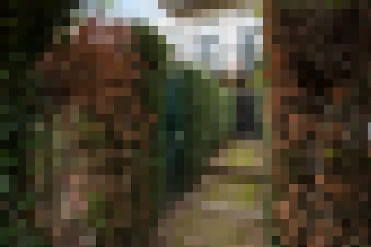 Wittevrouwensingel 26 D Utrecht thumbnail 21