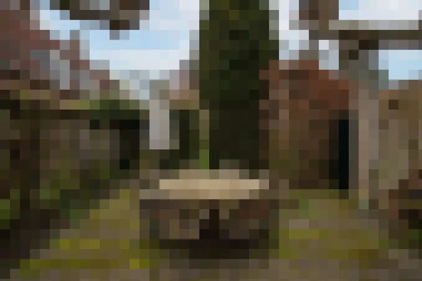 Wittevrouwensingel 26 D Utrecht thumbnail 23
