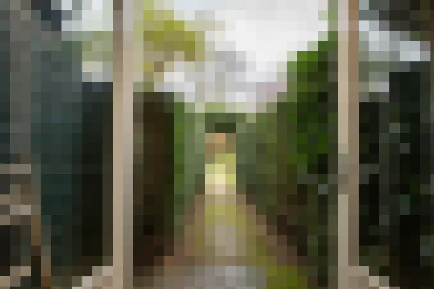 Wittevrouwensingel 26 D Utrecht thumbnail 27