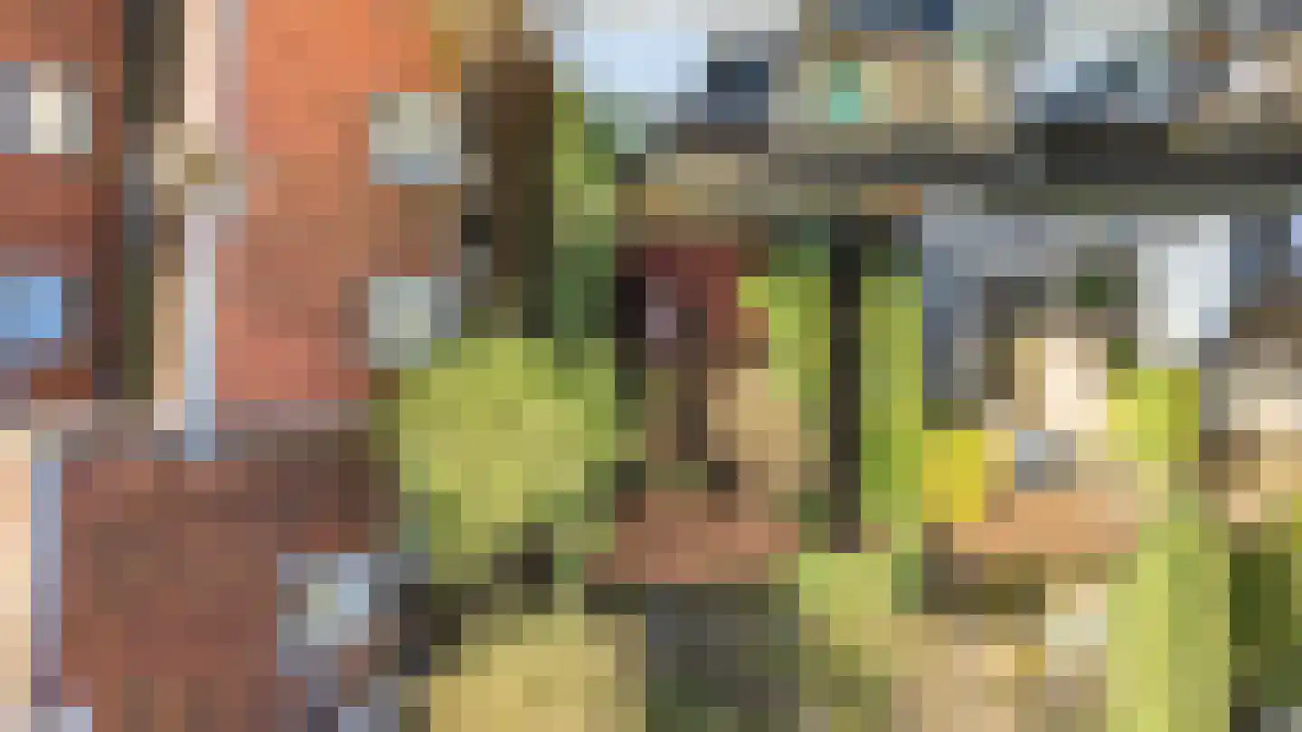 Wittevrouwensingel 26 D Utrecht thumbnail 28