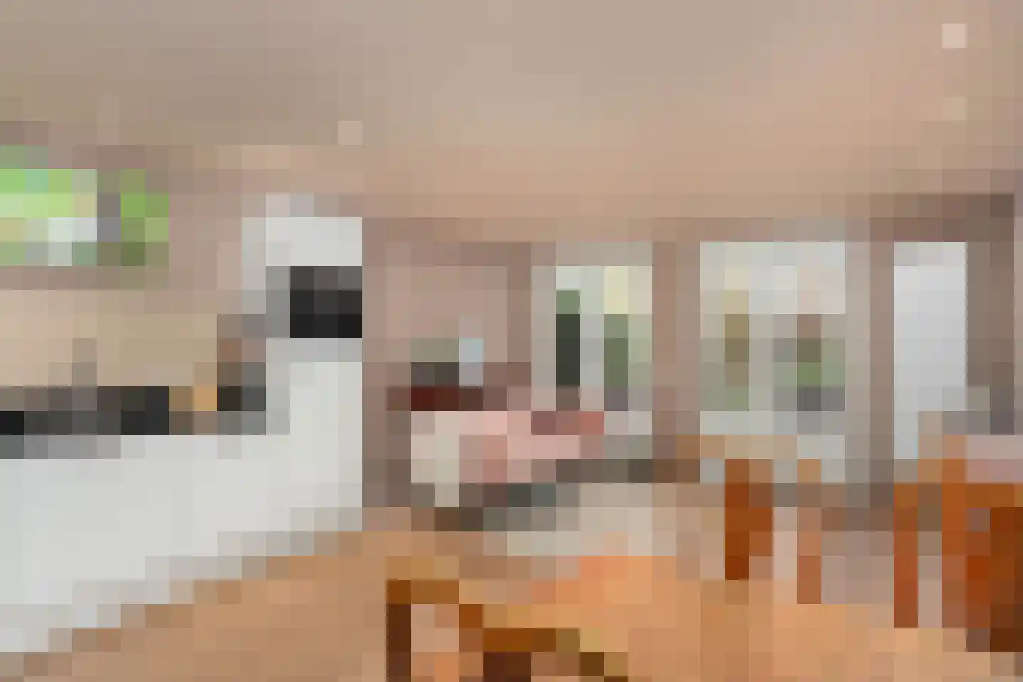 Wittevrouwensingel 26 D Utrecht thumbnail 4