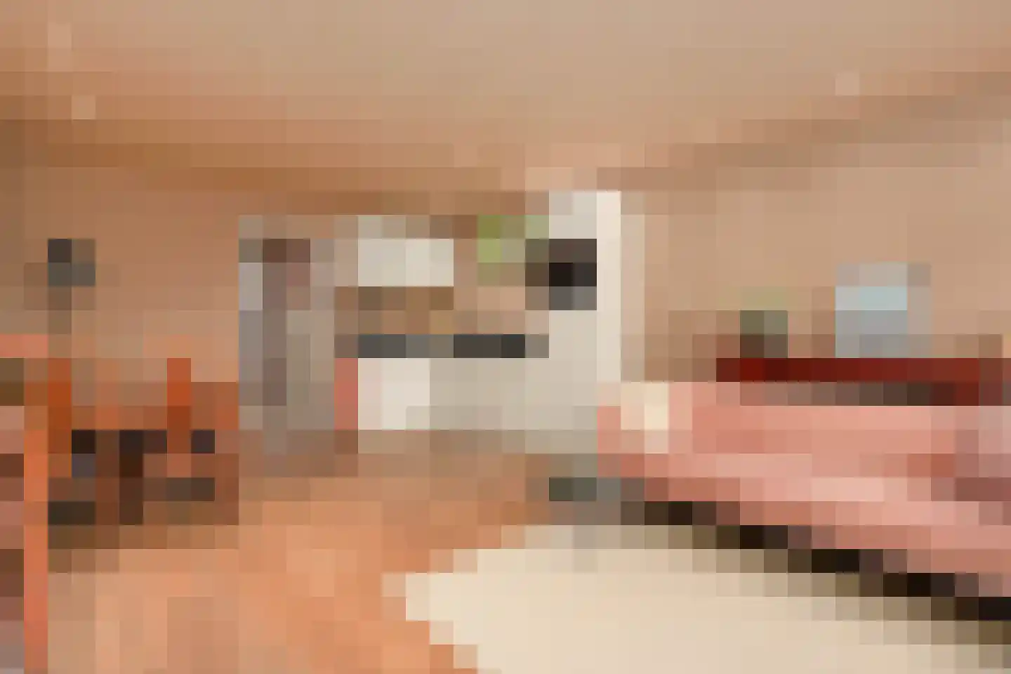 Wittevrouwensingel 26 D Utrecht thumbnail 5