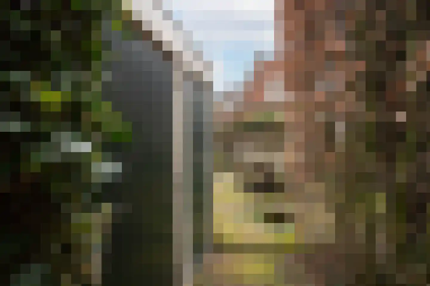 Wittevrouwensingel 26 H Utrecht thumbnail 22