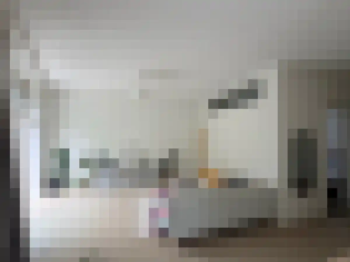 Wittevrouwensingel 39 A Utrecht thumbnail 4