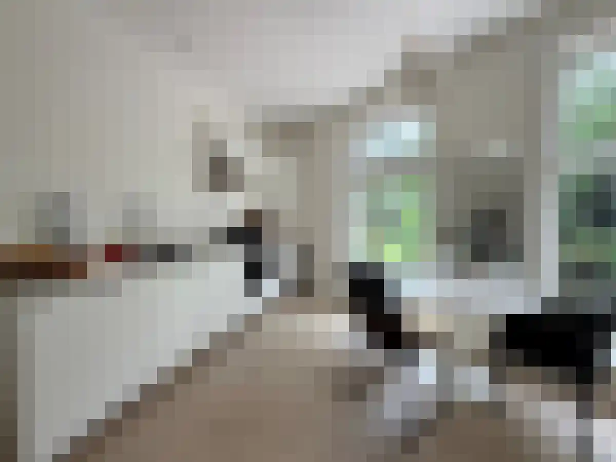 Wittevrouwensingel 39 A Utrecht thumbnail 5