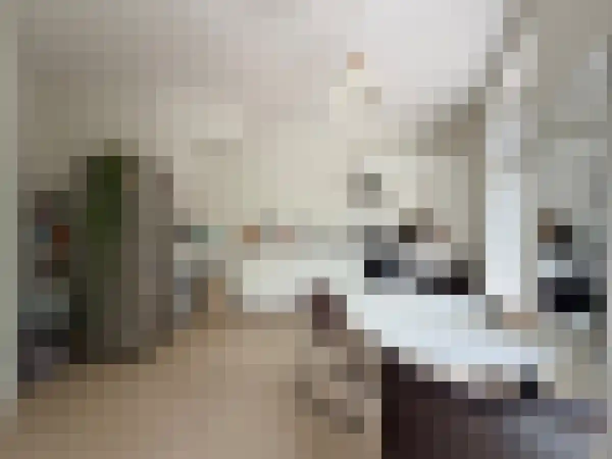 Wittevrouwensingel 39 A Utrecht thumbnail 6