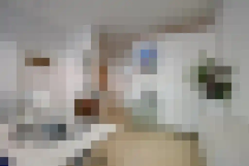 Wittevrouwensingel 4 Utrecht thumbnail 16
