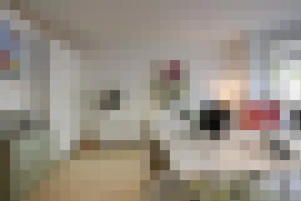 Wittevrouwensingel 4 Utrecht thumbnail 17