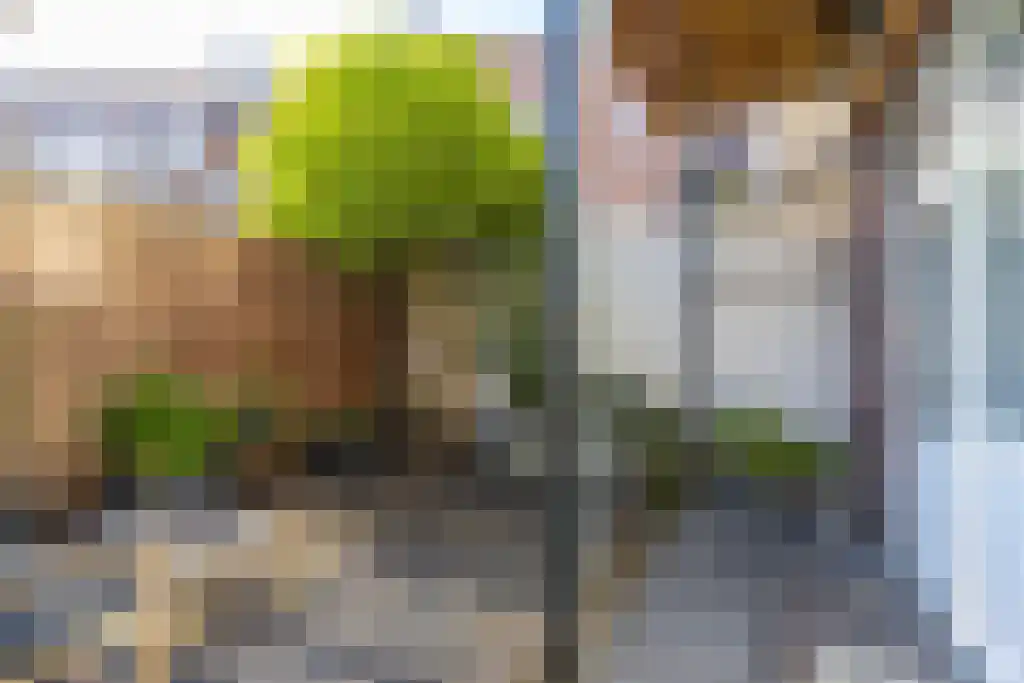 Wittevrouwensingel 4 Utrecht thumbnail 19