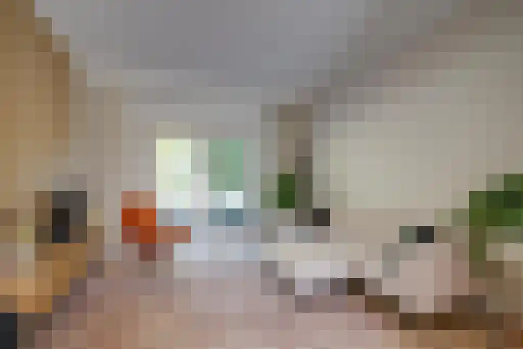 Wittevrouwensingel 4 Utrecht thumbnail 23