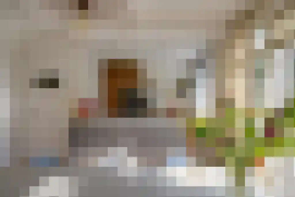 Wittevrouwensingel 4 Utrecht thumbnail 30