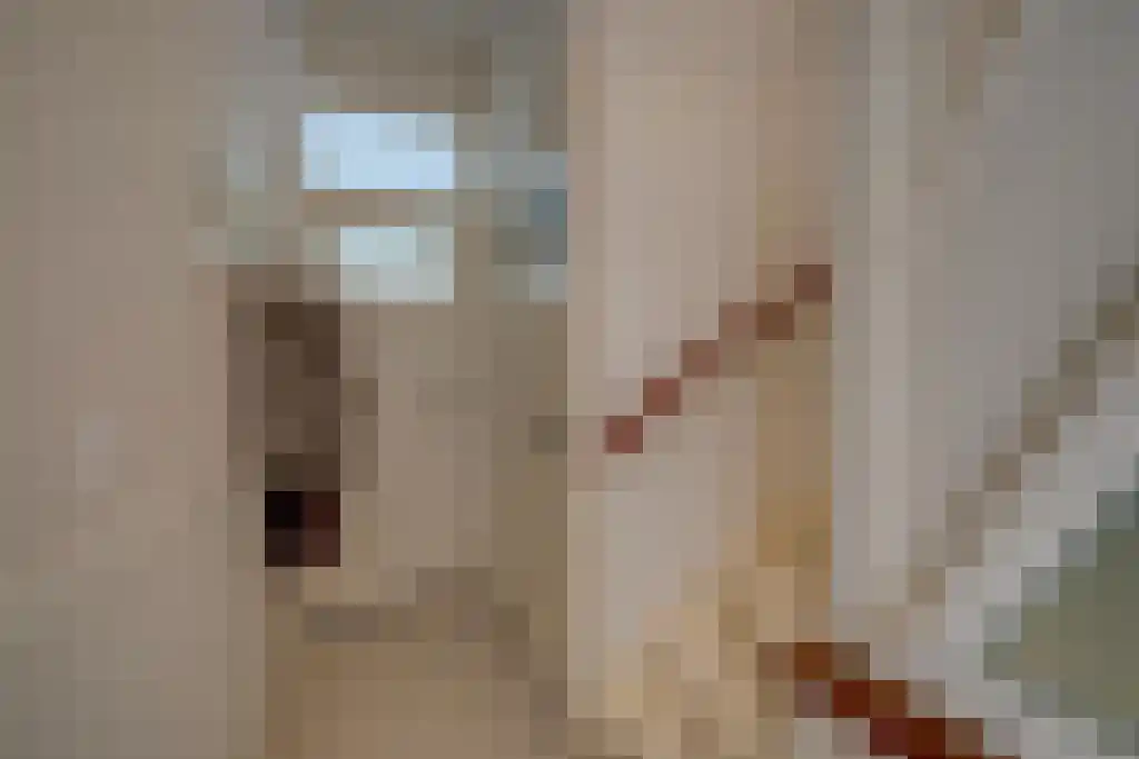 Wittevrouwensingel 4 Utrecht thumbnail 35