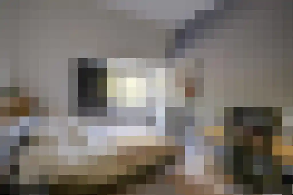 Wittevrouwensingel 4 Utrecht thumbnail 41