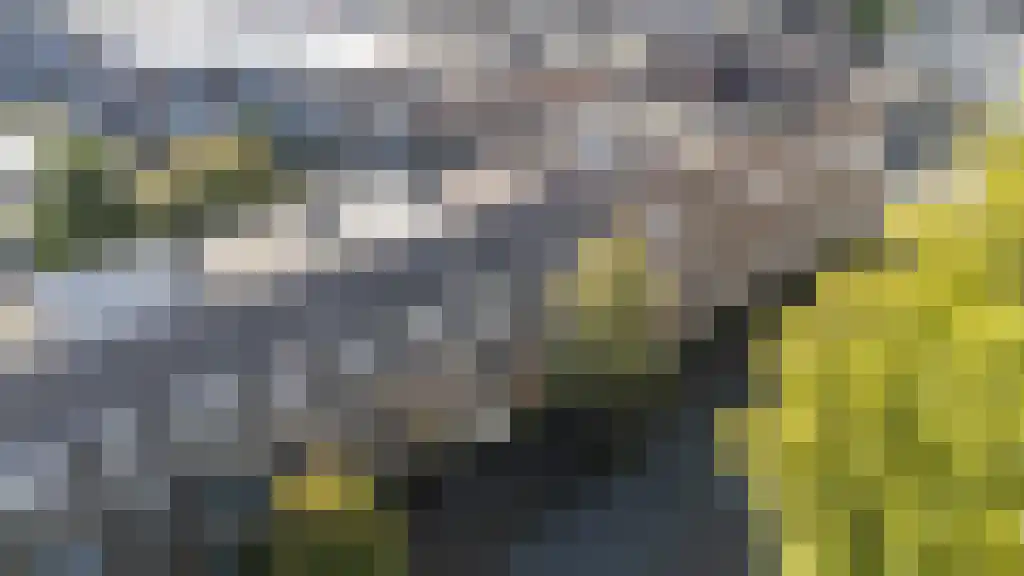 Wittevrouwensingel 4 Utrecht thumbnail 48
