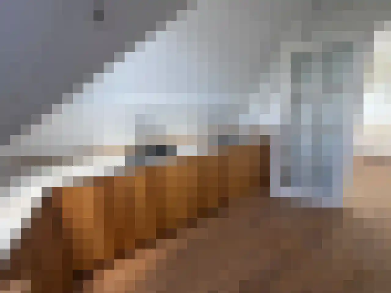 Wittevrouwensingel 47 C Utrecht thumbnail 10