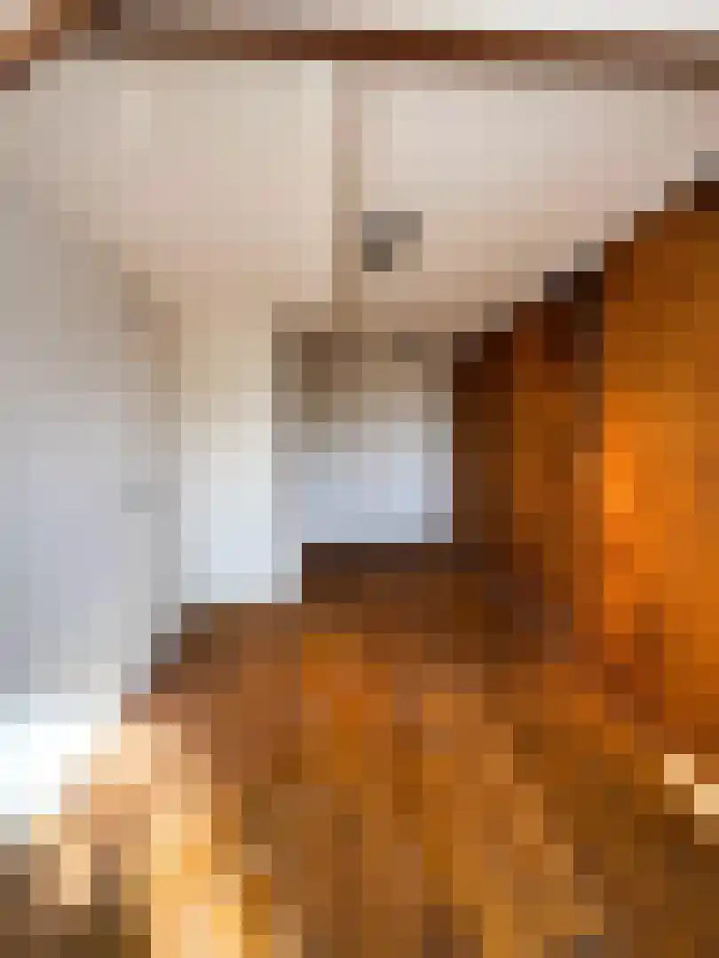 Wittevrouwensingel 47 C Utrecht thumbnail 4