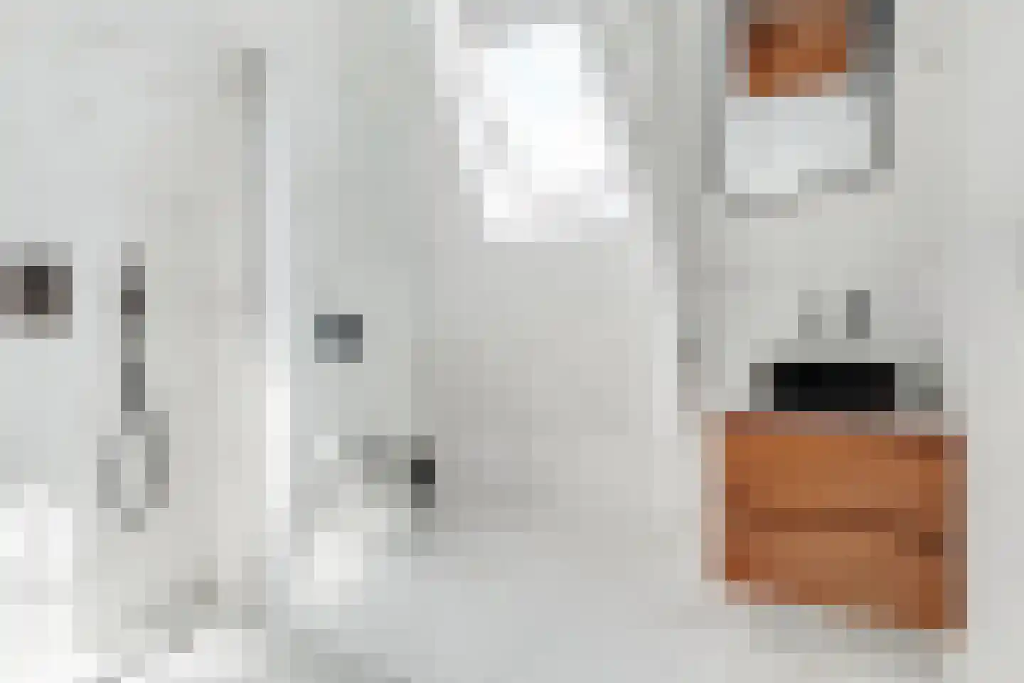 Wittevrouwensingel 47 C Utrecht thumbnail 4