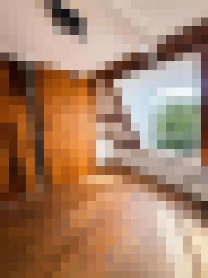 Wittevrouwensingel 47 C Utrecht thumbnail 5