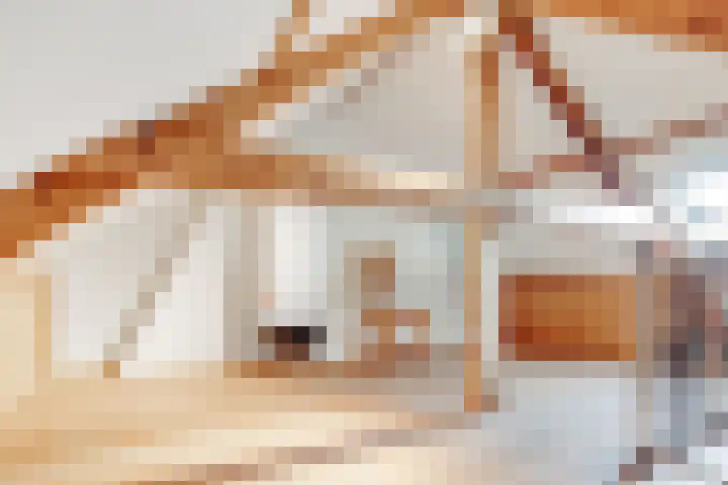Wittevrouwensingel 47 C Utrecht thumbnail 5