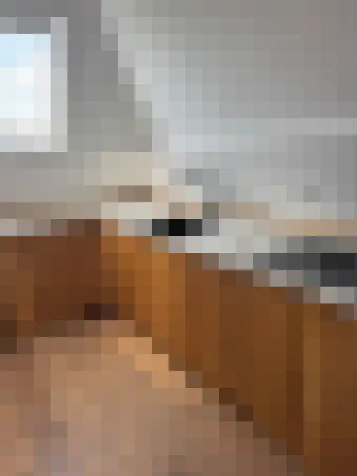 Wittevrouwensingel 47 C Utrecht thumbnail 9