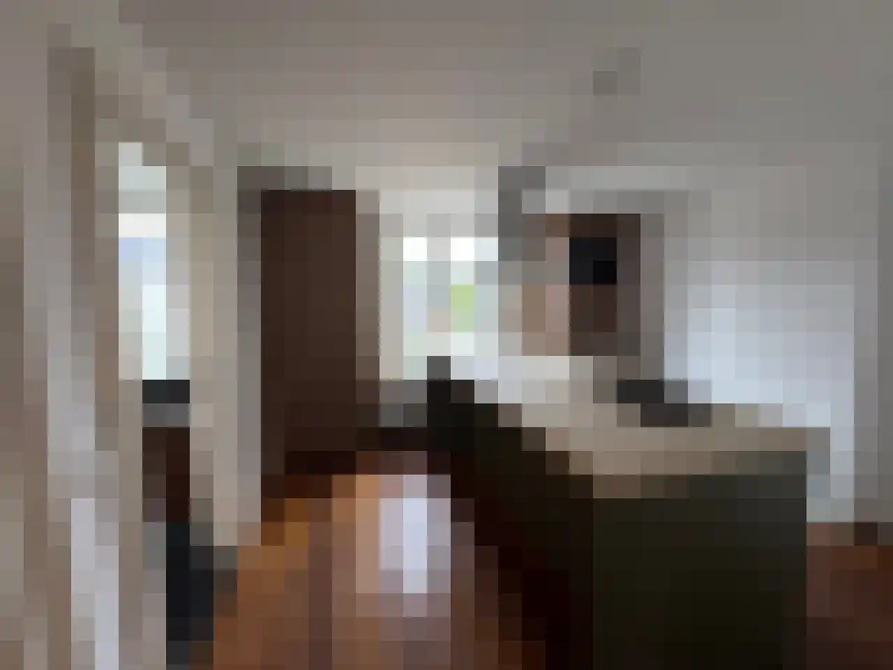 Wittevrouwensingel 47 Utrecht thumbnail 14