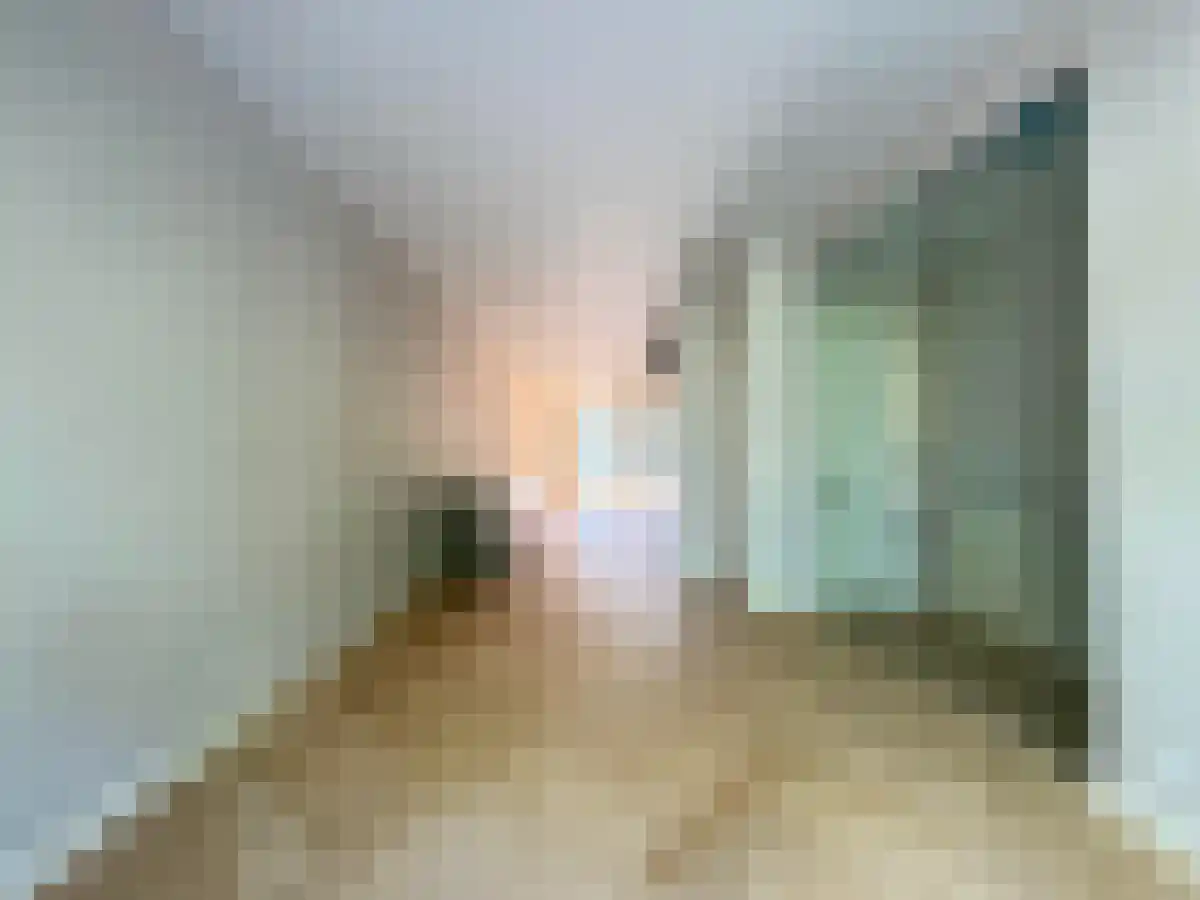 Wittevrouwensingel 57 Utrecht thumbnail 6