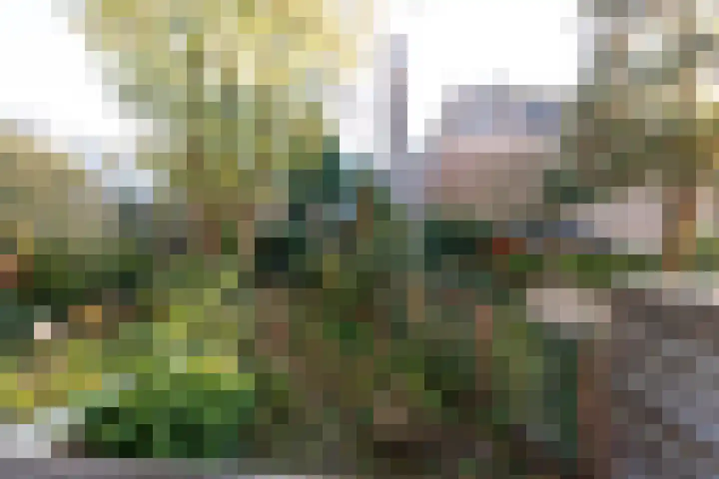 Wittevrouwensingel 58 Utrecht thumbnail 4