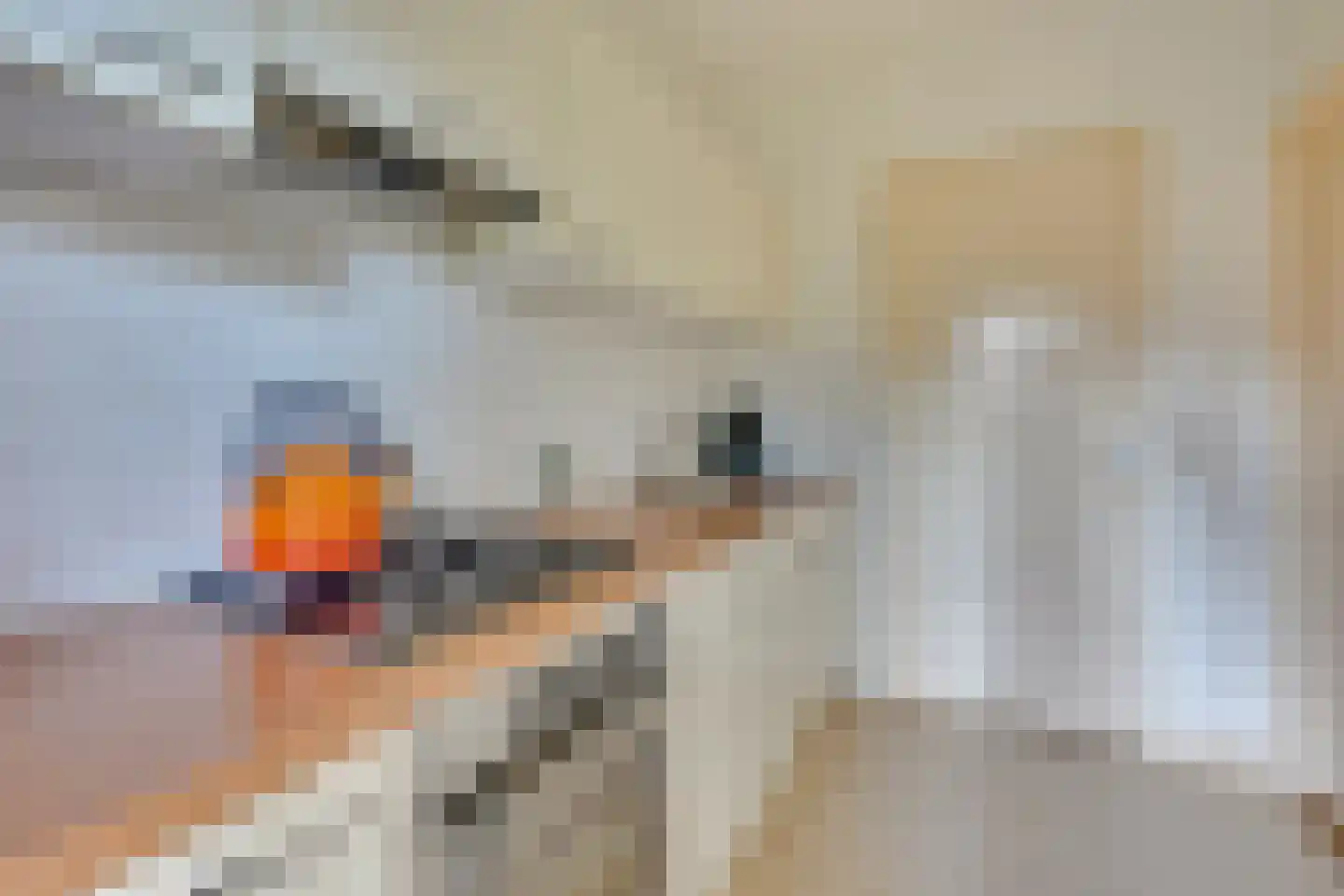 Wittevrouwensingel 58 Utrecht thumbnail 5