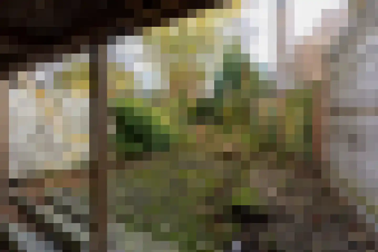 Wittevrouwensingel 58 Utrecht thumbnail 50