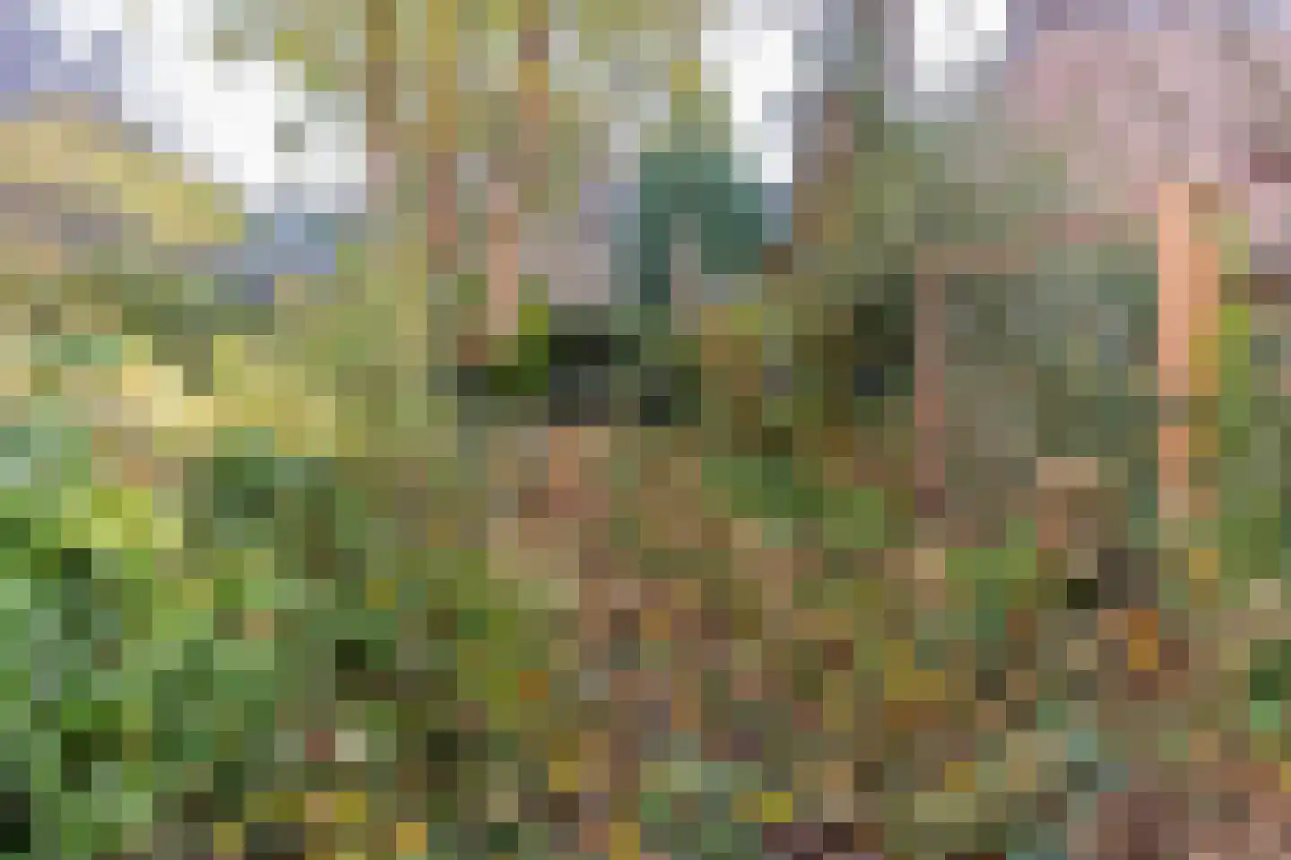 Wittevrouwensingel 58 Utrecht thumbnail 51