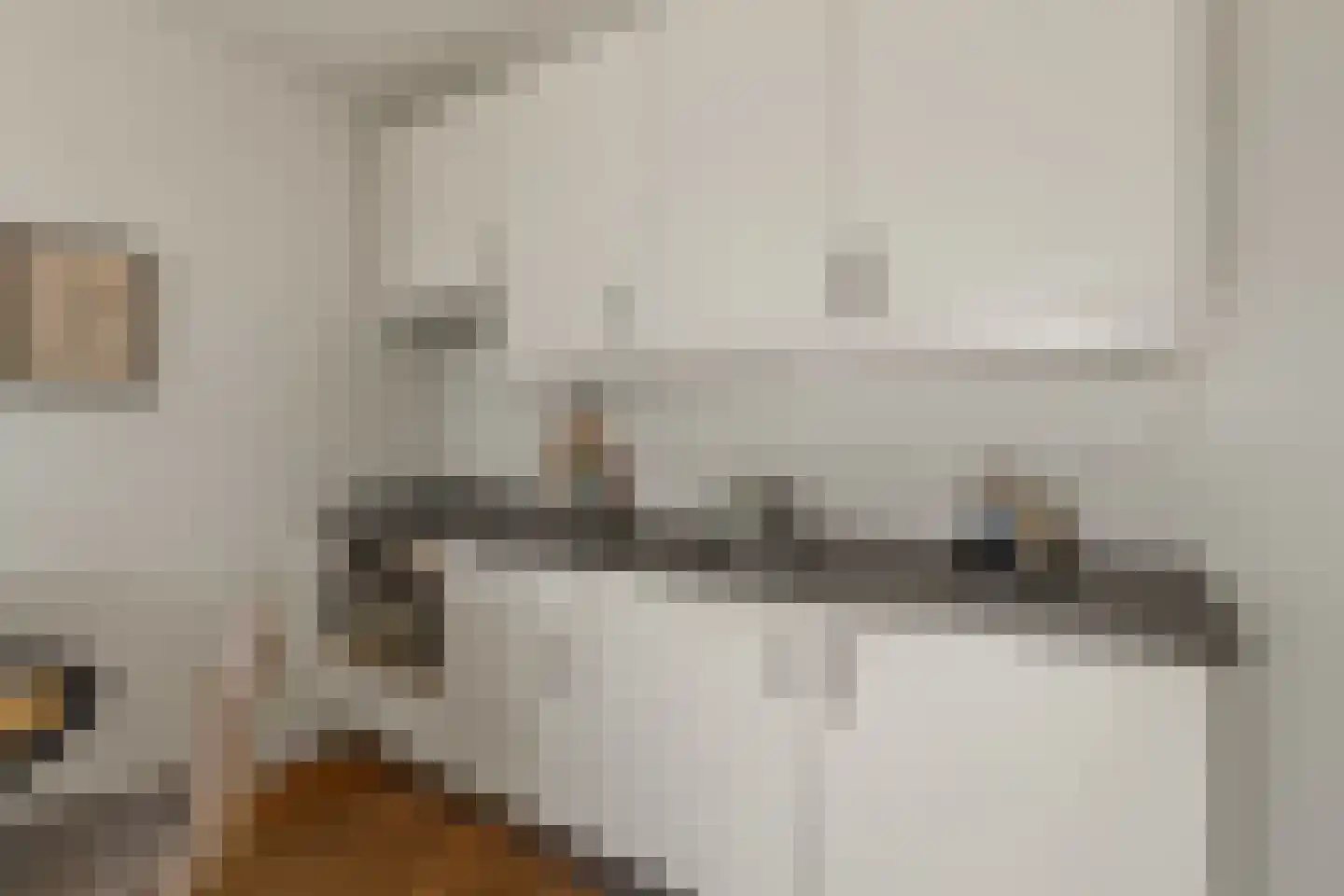 Wittevrouwensingel 61 C Utrecht thumbnail 15
