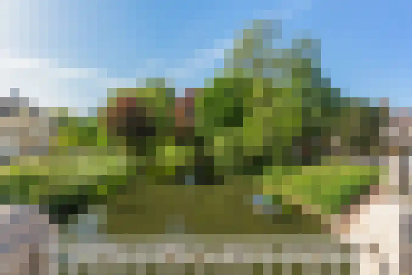 Wittevrouwensingel 61 C Utrecht thumbnail 30