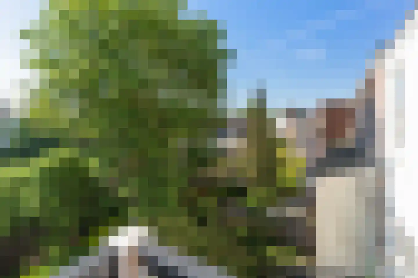 Wittevrouwensingel 61 C Utrecht thumbnail 8