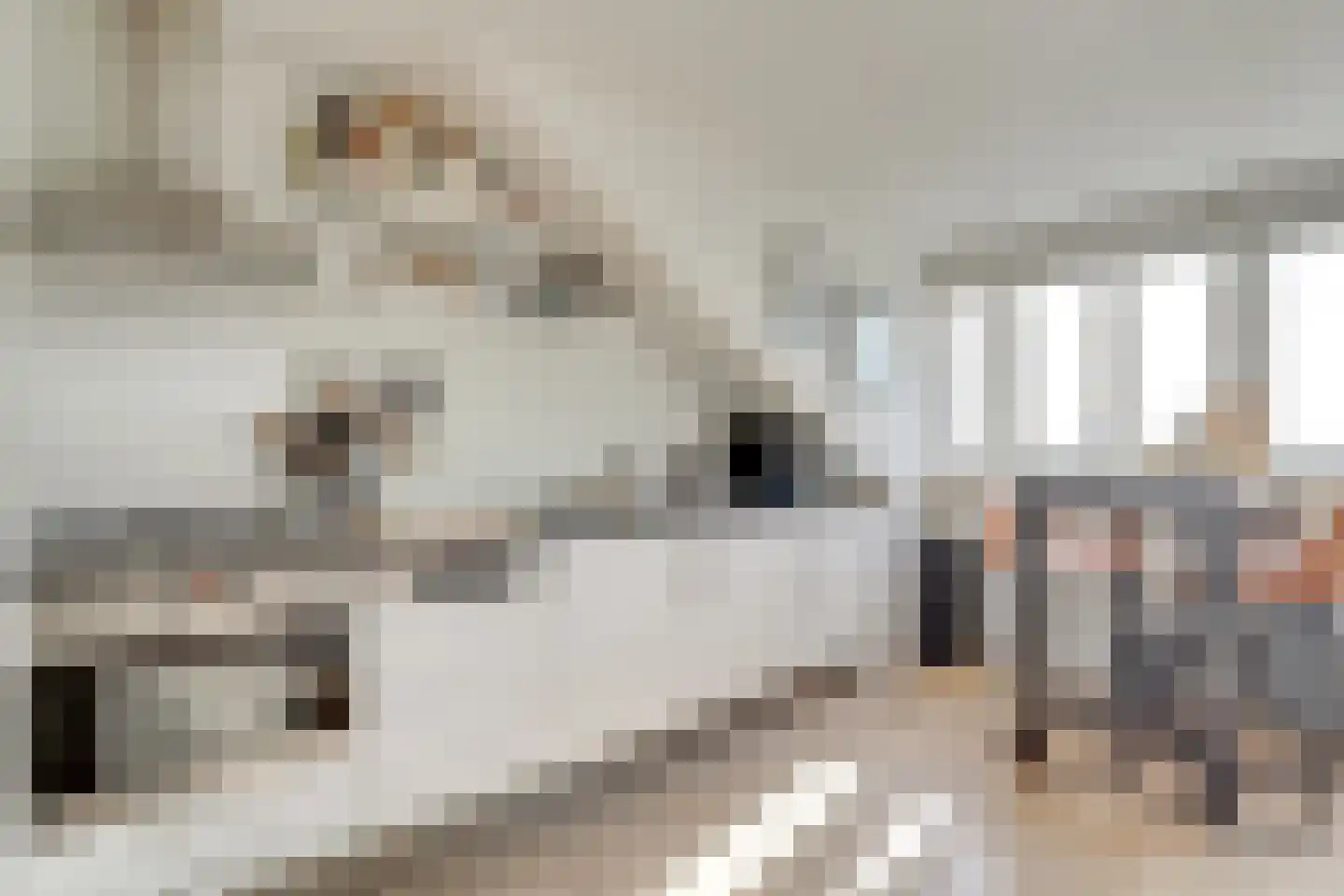 Wittevrouwensingel 61 E Utrecht thumbnail 15