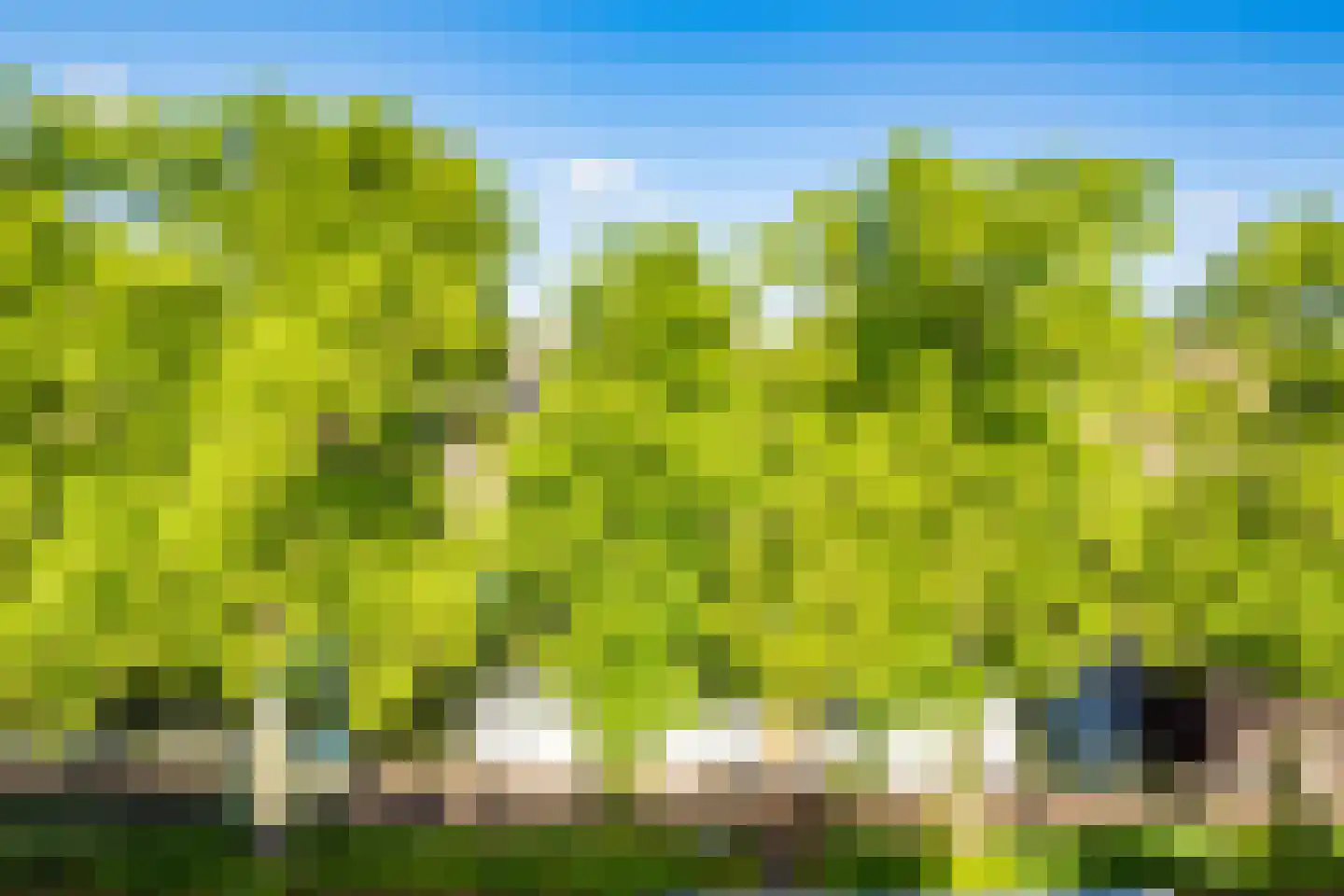 Wittevrouwensingel 61 E Utrecht thumbnail 27