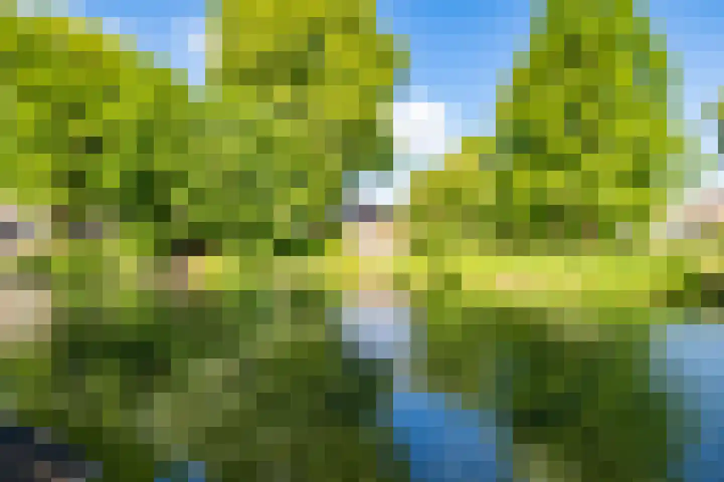 Wittevrouwensingel 61 E Utrecht thumbnail 32