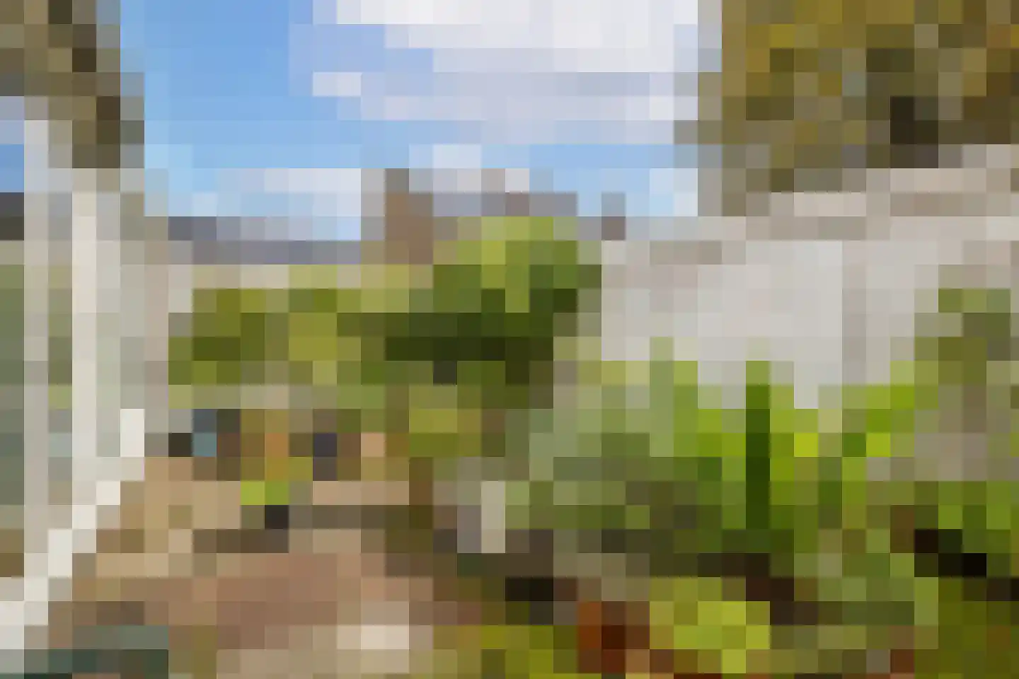 Wittevrouwensingel 8 Utrecht thumbnail 14